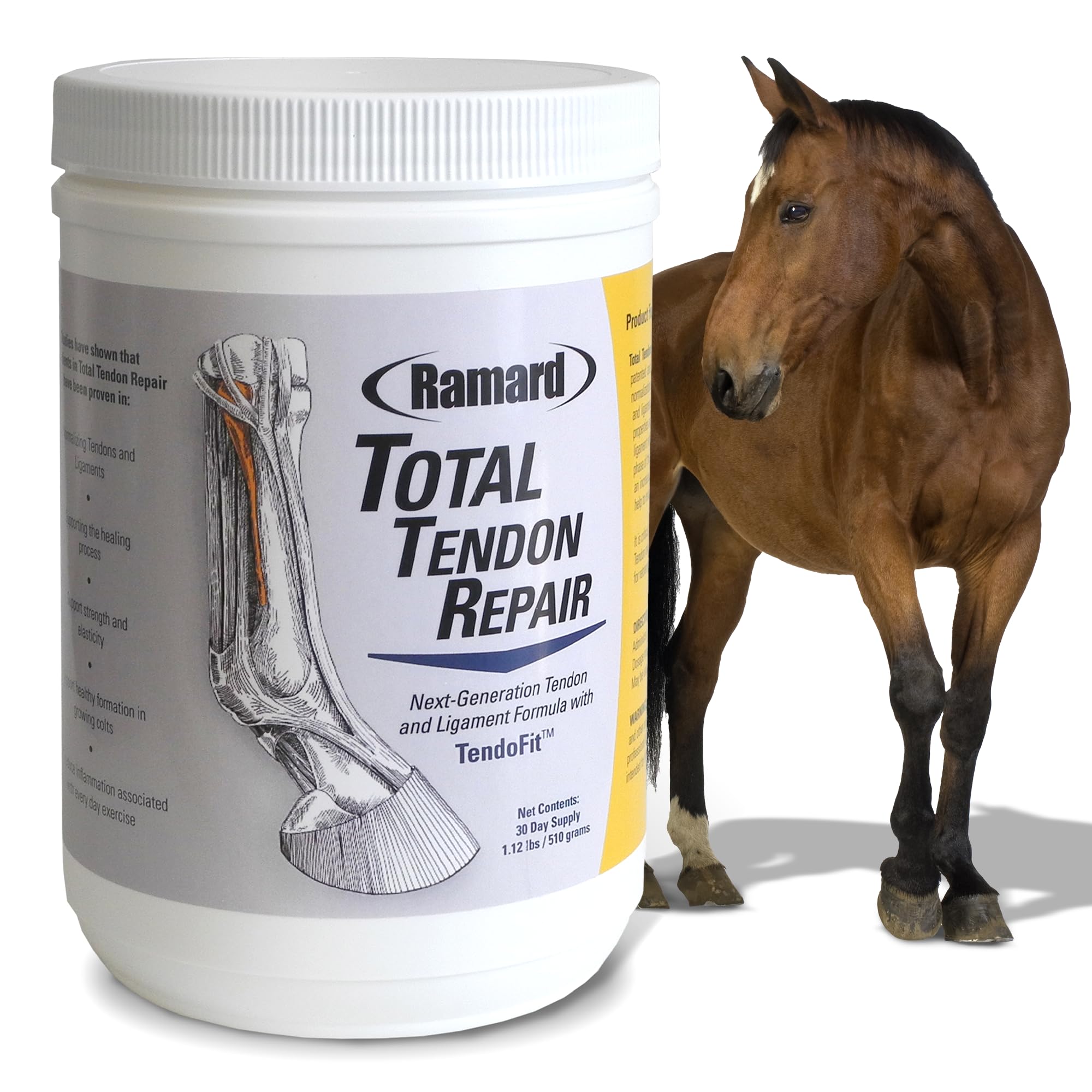 Ramard 079062 تعمیر کلیه پاتل، 1.12 پوند / 30 روز