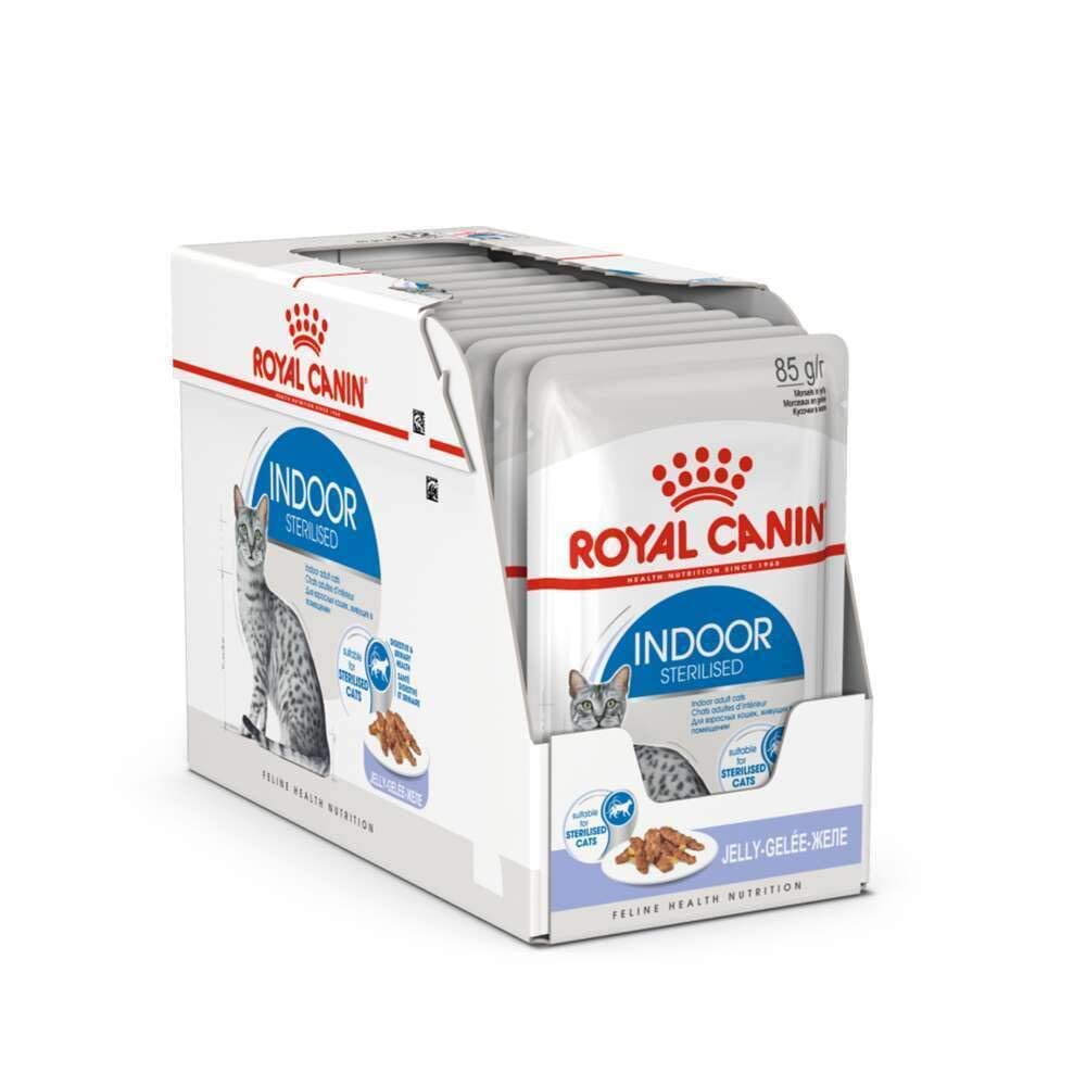 Royal Canin Indoor Sterilised in Jelly Cat Wet Food - 85G، بسته 12 عددی