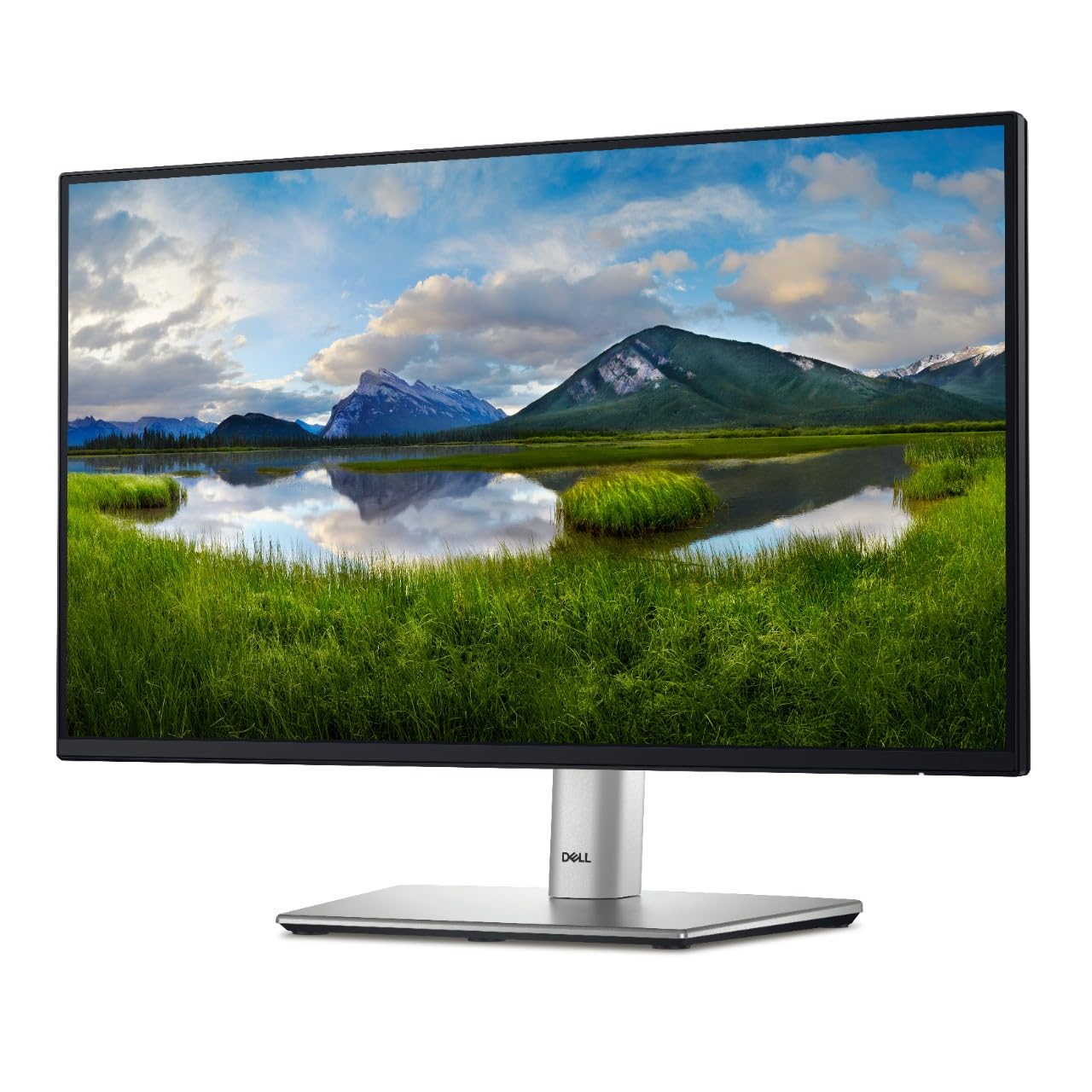 مانیتور دل ۲۴ اینچ P2422H Full HD ۱۰۸۰p، فناوری IPS، فناوری Comfortview Plus، مشکی، DELL-P2422H