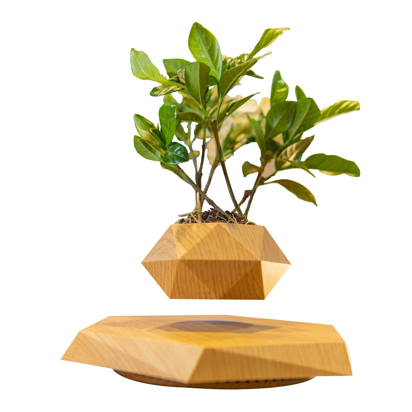 گلدان شناور PeacePlanet Floating Flower Pot، کاشی گل، هدیه، شورش و چرخش در هوا، چراغ شب، کنترل لمسی، هدیه برای دوست دختر، مادر، تولد، سالگرد (چوبی) گلدان (چوبی)