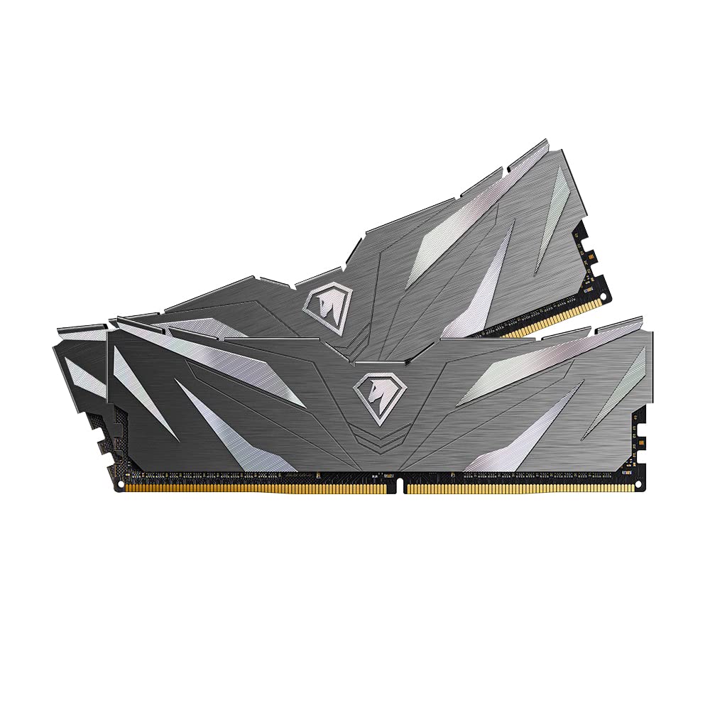 حافظه رم دسکتاپ Netac DDR4 3200MHZ 32GB (2 X 16GB)، کیت حافظه DRAM C16 XPM2.0 با 32GB حافظه با سینک حرارتی، مشکی