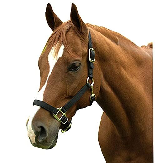 گردنبند سر اسب بلسینگ با طراحی زیبا و قوی از آهن سخت - سیاه