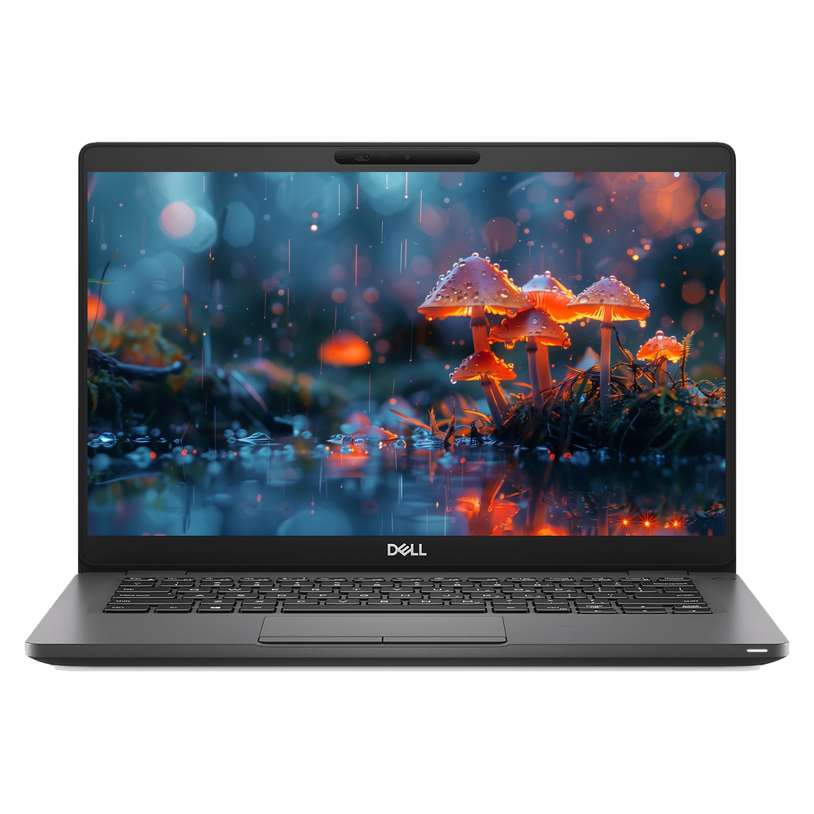 لپ تاپ تجاری دل مدل Latitude 5300 با قابلیت تجدید مجدد | پردازنده intel® Quad-Core™ i5-8365U با سرعت تا 4.10 گیگاهرتز | حافظه RAM 16 گیگابایت | حافظه داخلی SSD 512 گیگابایت | نمایشگر 13.3 اینچی بدون قابلیت لمس | ویندوز 10 حرفه‌ای | (تجدید مجدد)