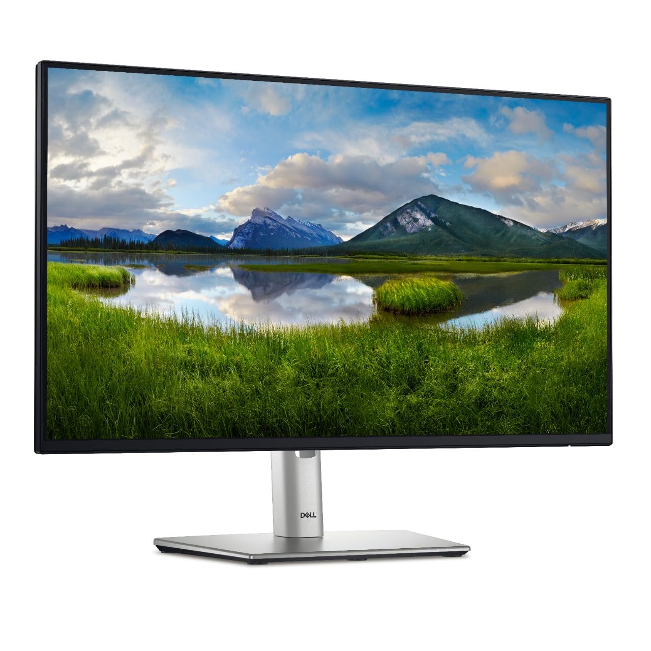 مانیتور Dell P2425HE با صفحه نمایش FHD 24 اینچ 1080p