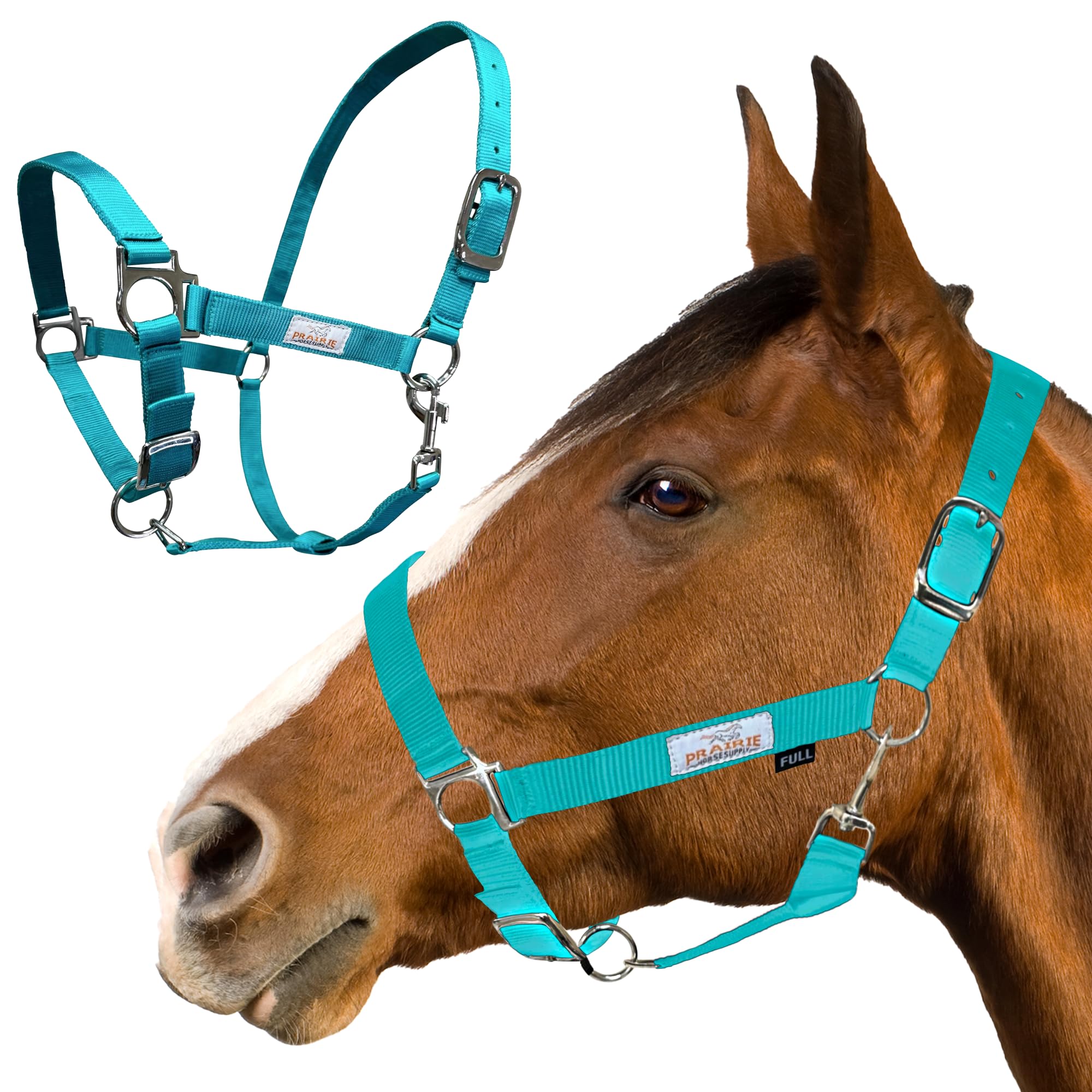 هالتر اسب نایلون Prairie Horse Supply، 1 اینچ عریض، با دوام، قابل تنظیم اسب آبی سبز
