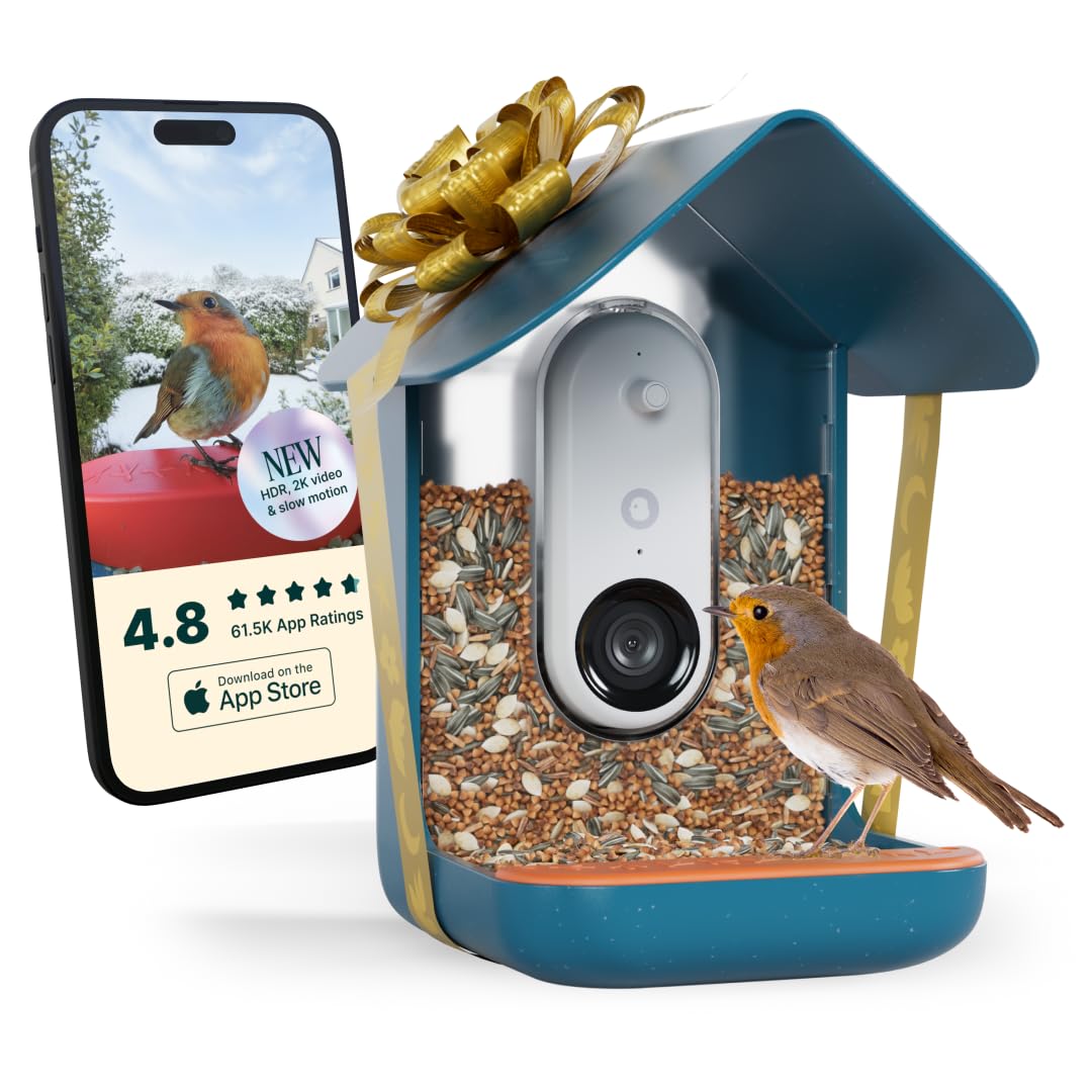 پرو Smart Bird Feeder Birdbuddy با دوربین بدون خورشید - شناسایی گونه‌های پرندگان با هوش مصنوعی، عکس‌های 5 مگاپیکسلی، فیلم های ویدیویی با کیفیت 2K زنده، ویدیوی حرکتی کند، فوکوس 2.6 اینچ - آبی - پرو Smart Bird Feeder Birdbuddy بدون خورشید - آبی تغذیه شده توسط Non Solar Powered Smart Bird Feeder PRO Blue