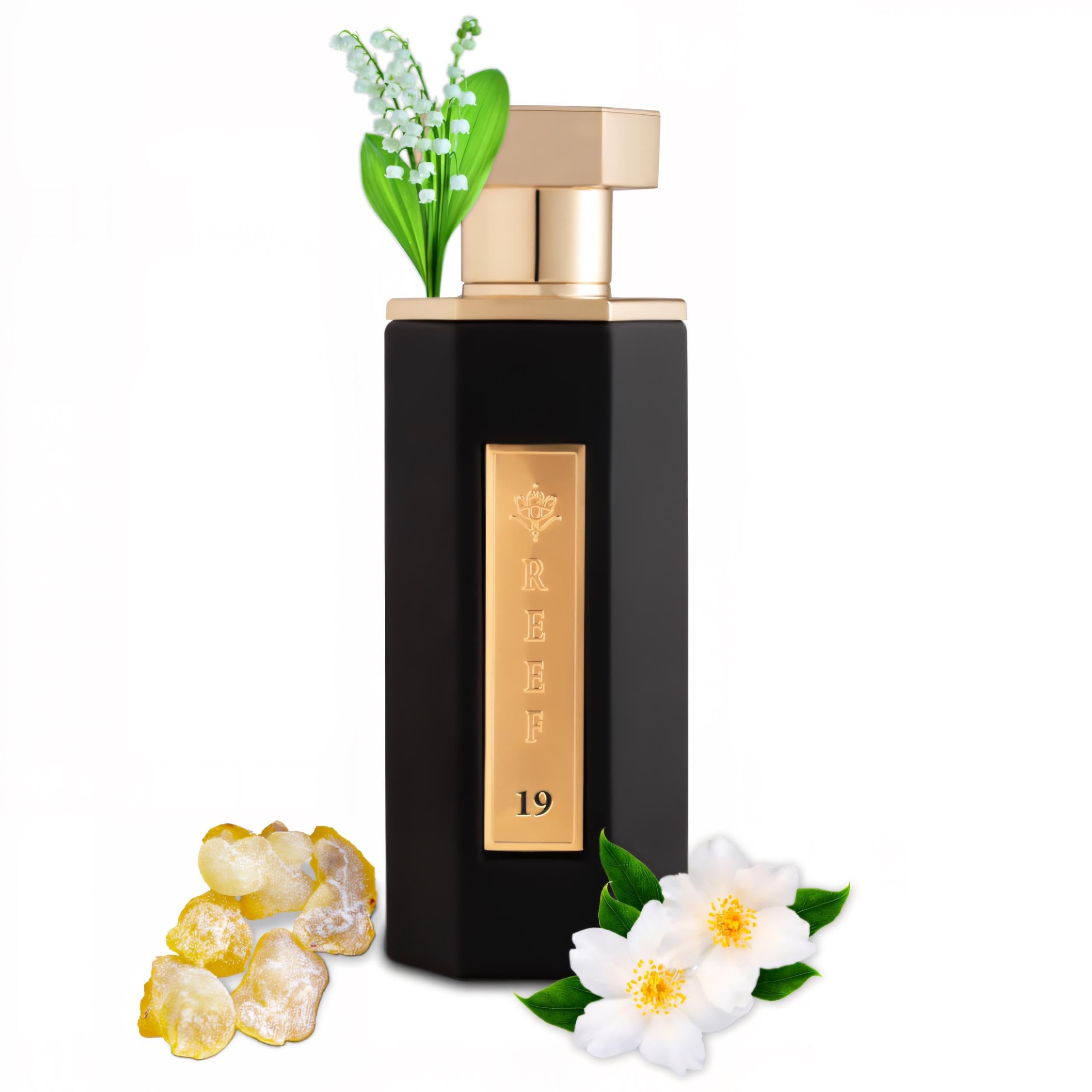 عطر ریف ۱۹ - او دو پرفیوم برای مردان و زنان | ۱۰۰ میلی لیتر عطر ماندگار برای هر دو جنس