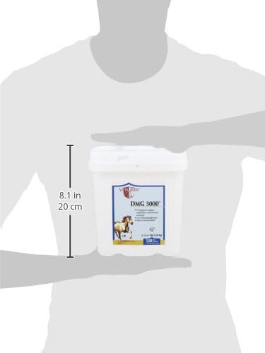 B000HHSE2W-image-2