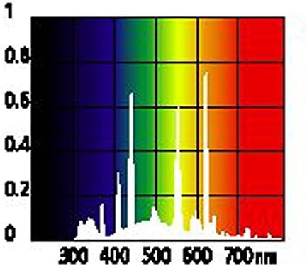 B001AAVOFE-image-1