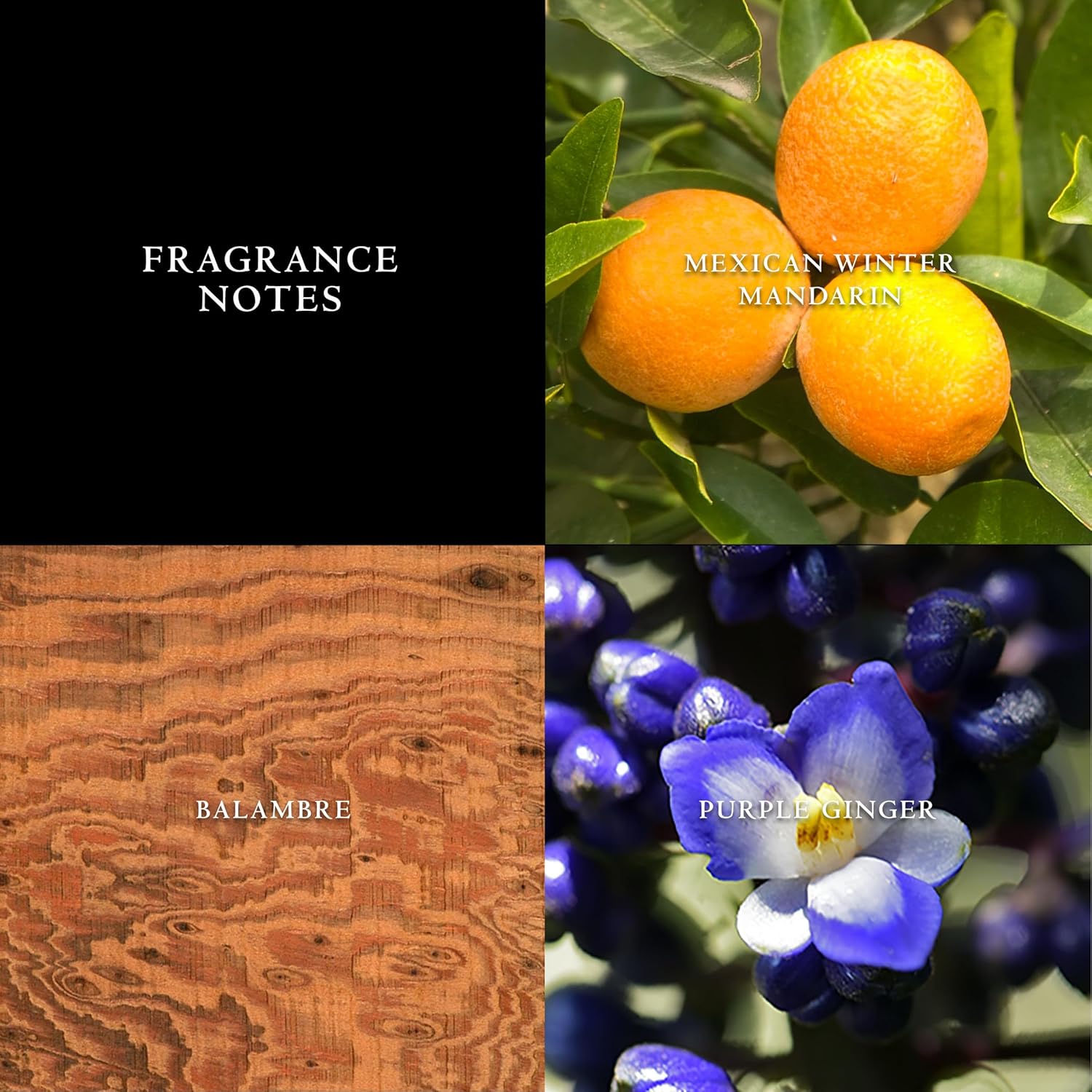 B002XQ1TSG-image-1