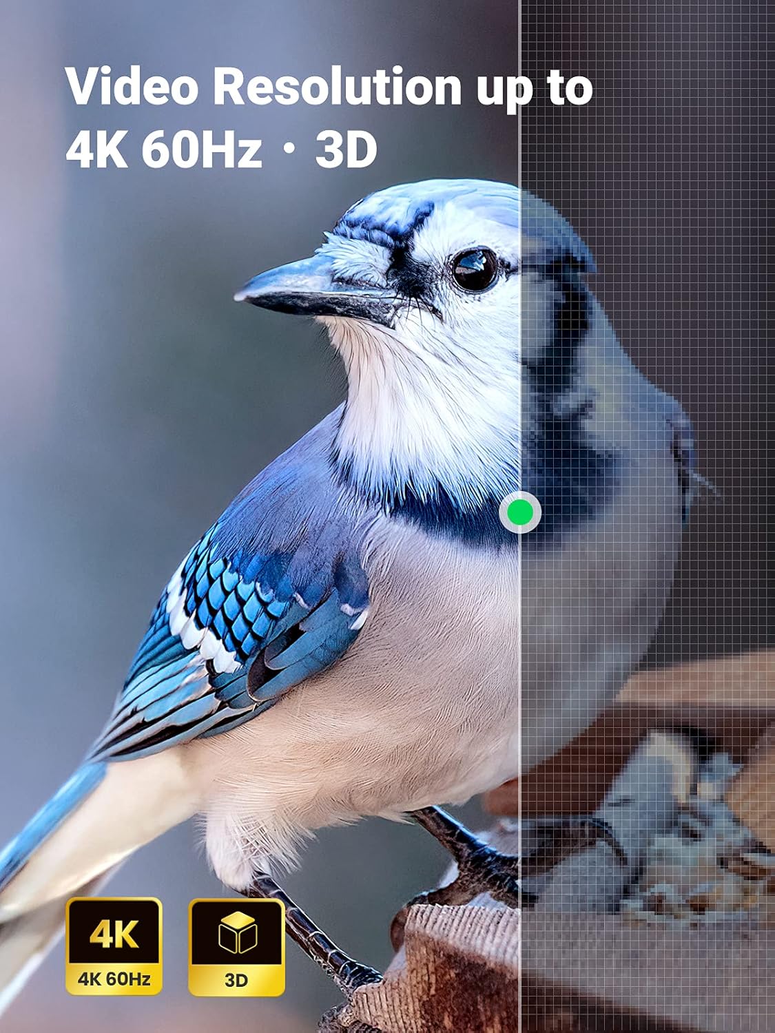 B00B2HPAE6-image-3