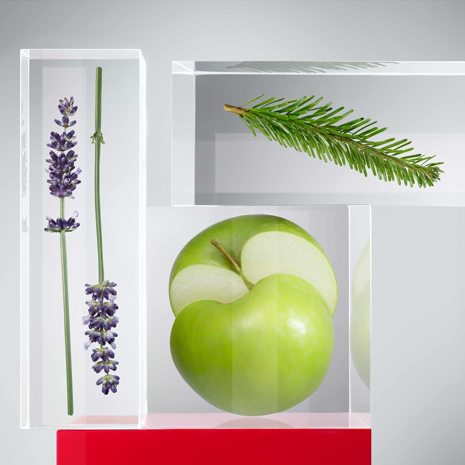 B00BIO10NS-image-6
