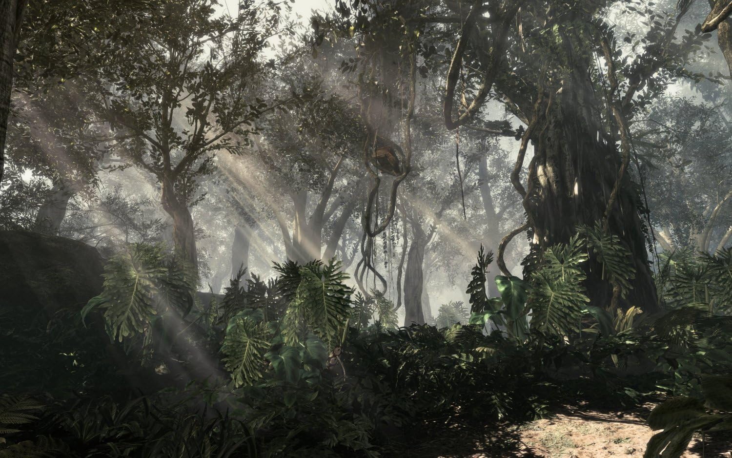 B00BT9DU26-image-4