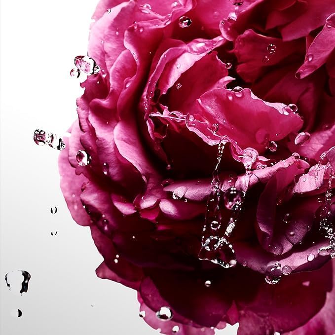 B00DGRJWSU-image-2