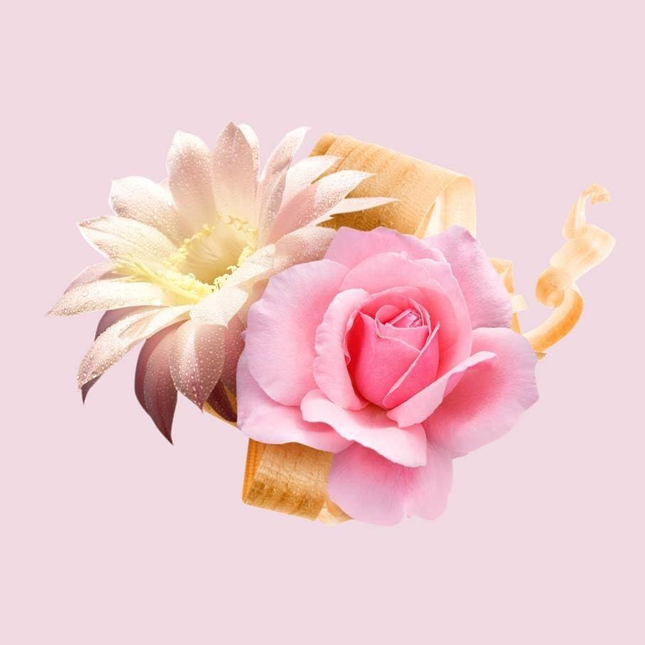 B00LC0G4FM-image-2