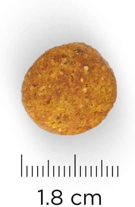 B00PKU5BNG-image-2