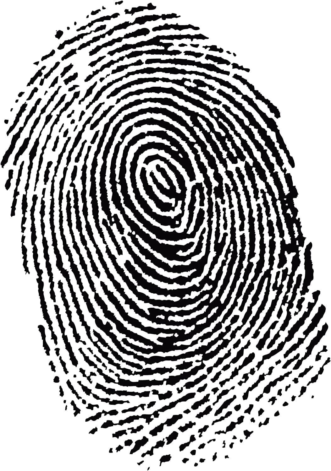 B019Y6ICFK-image-3