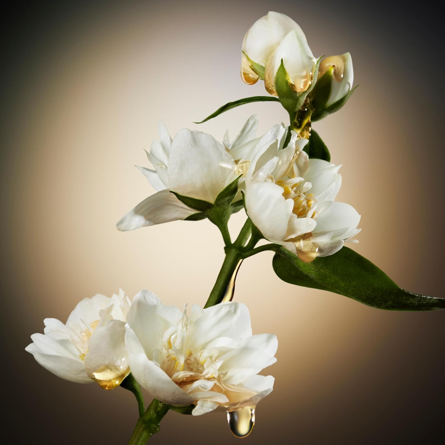 B01H9FE982-image-5