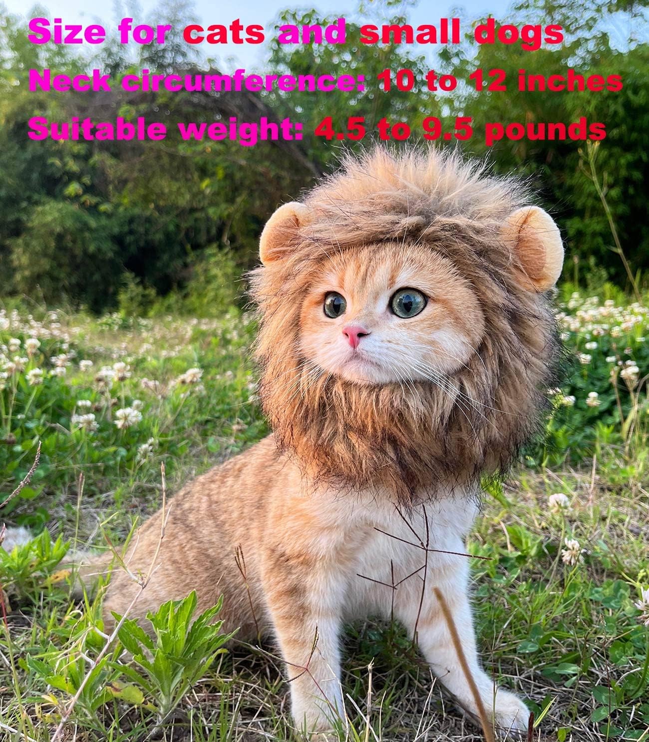 B01M71UWHK-image-4