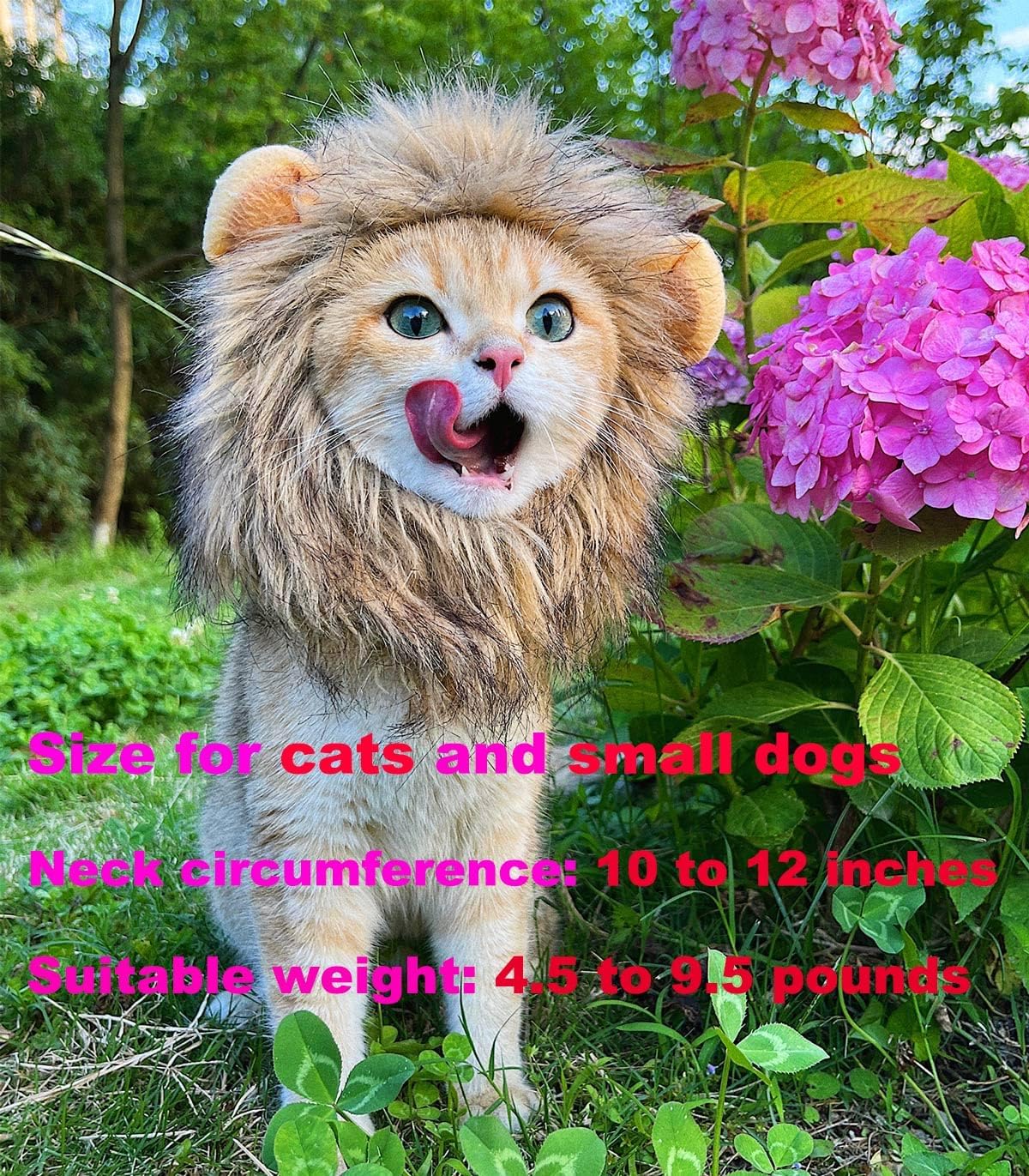 B01M71UWHK-image-6