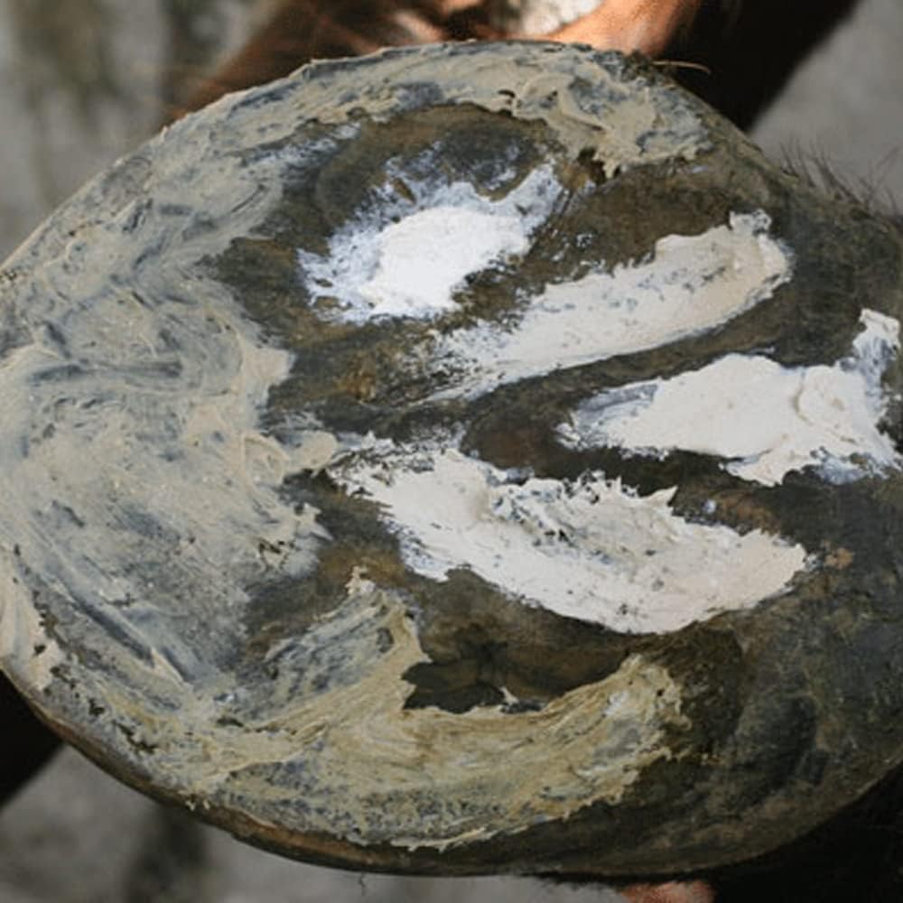 B07C921D1B-image-5