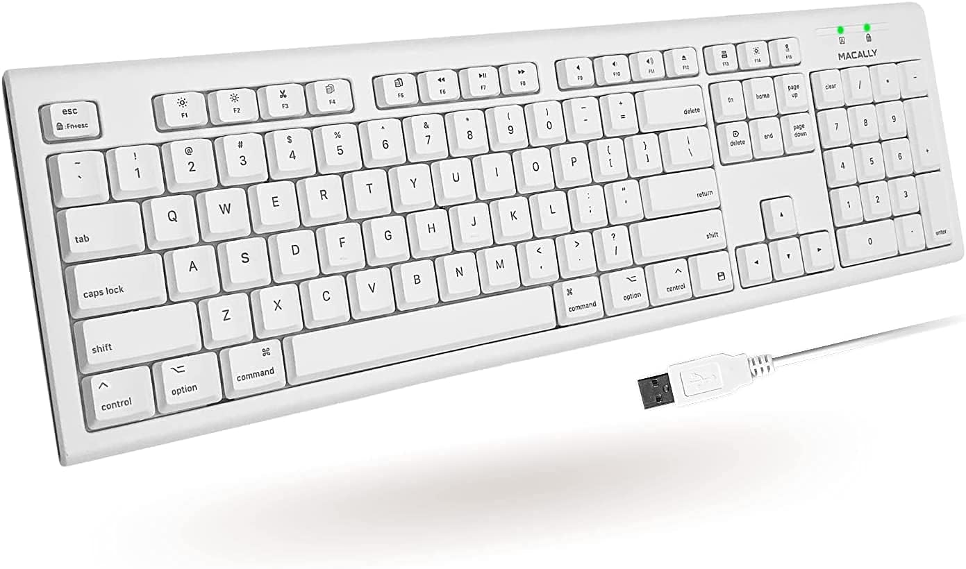 B07GBTZYLN-image-0