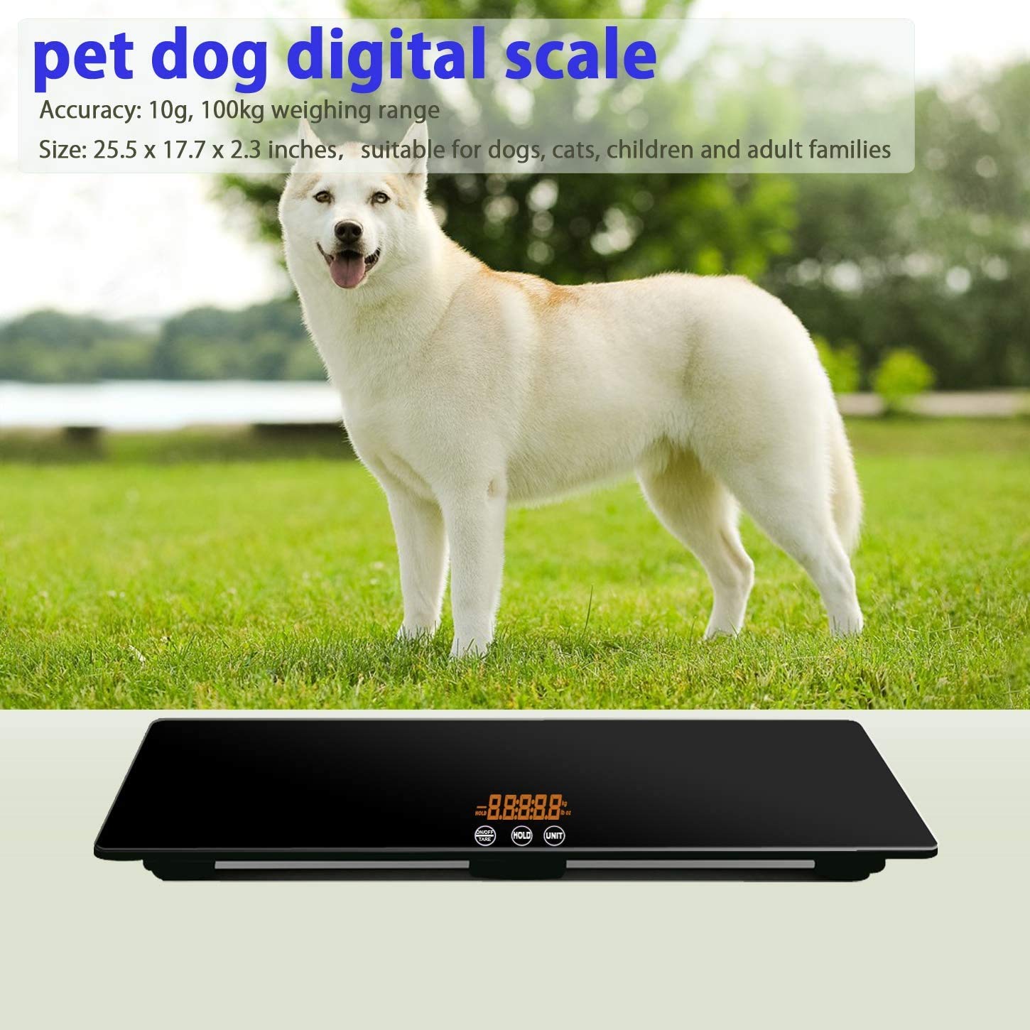 B07J55ZSYG-image-7
