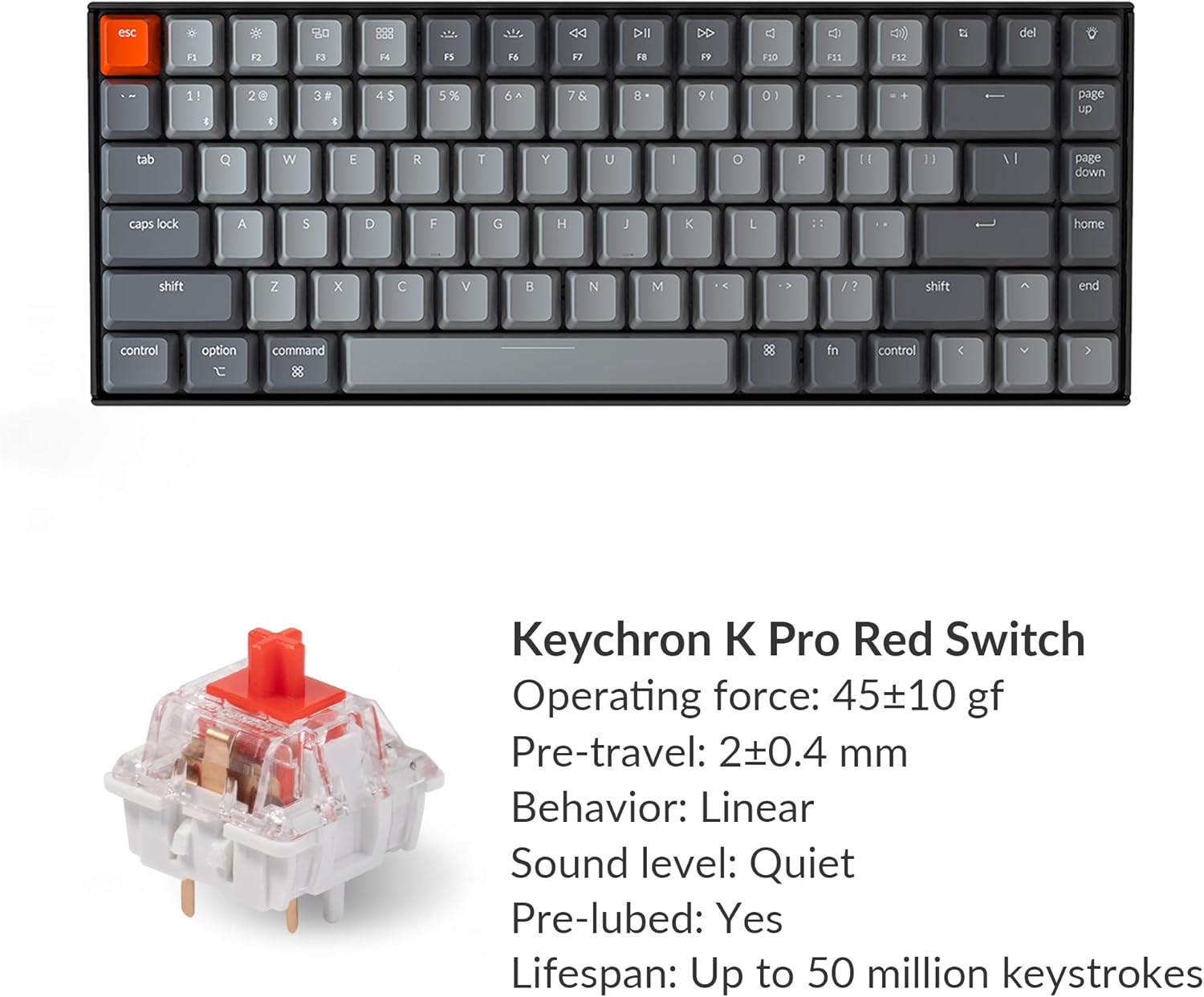 B07QBPCGY2-image-5