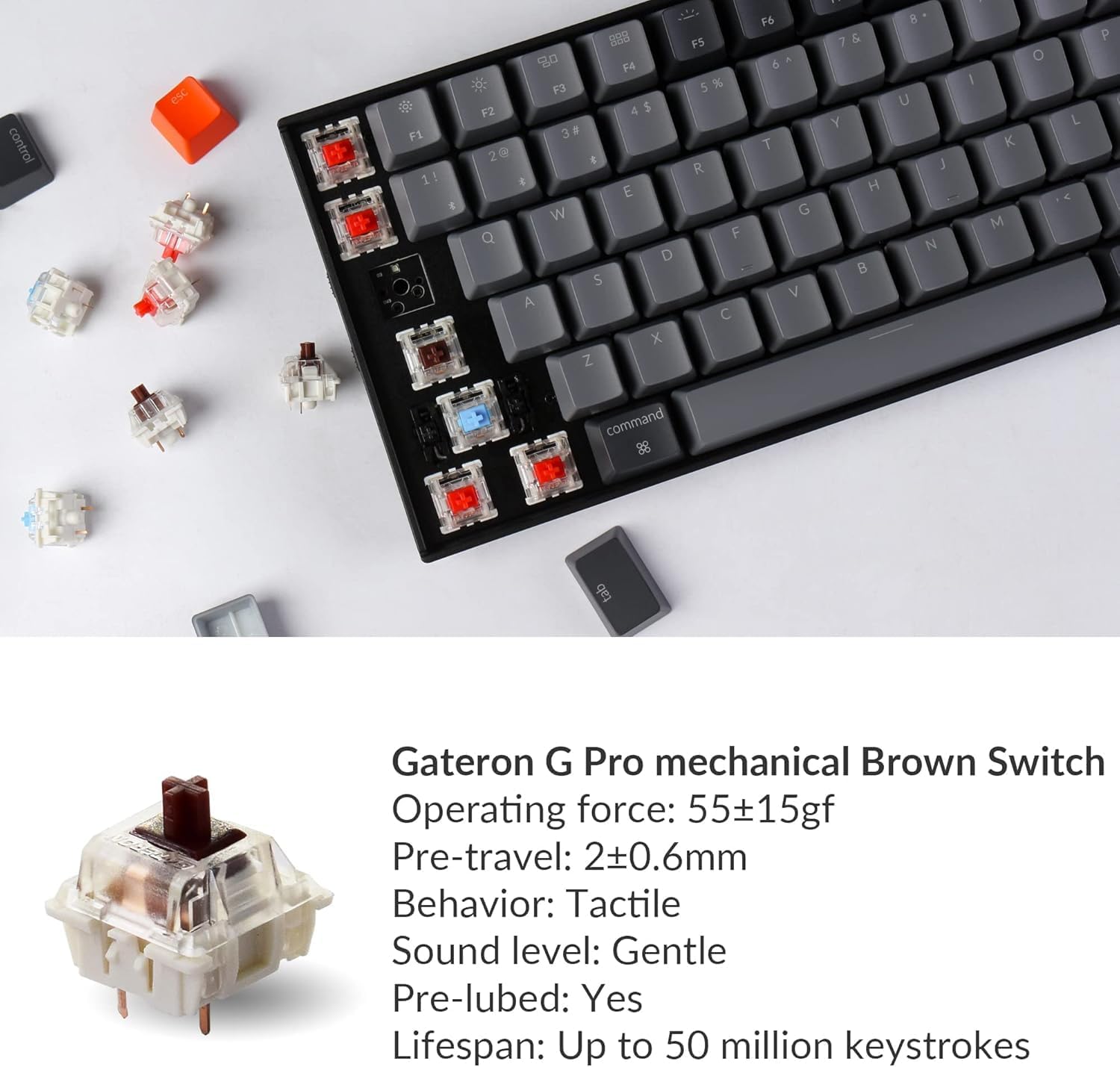 B07WS7KSGT-image-3