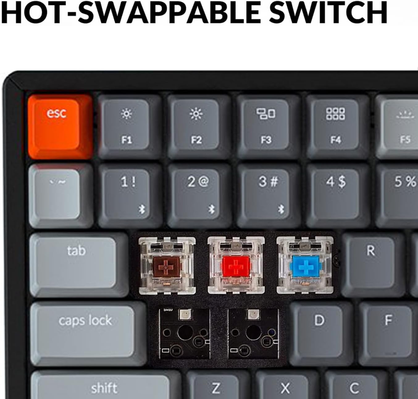 B07WS7LDLW-image-3