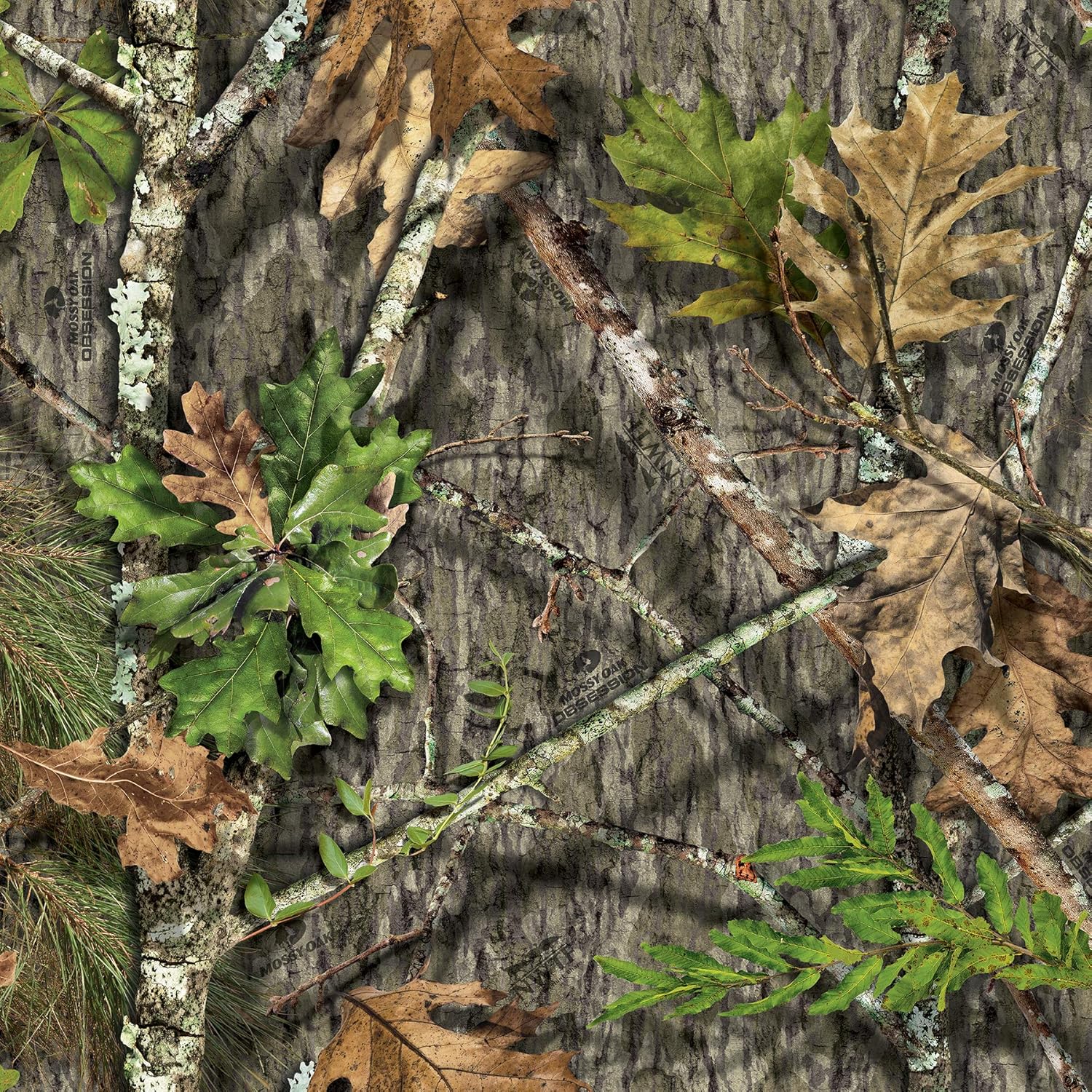 B085ZM2CPX-image-4