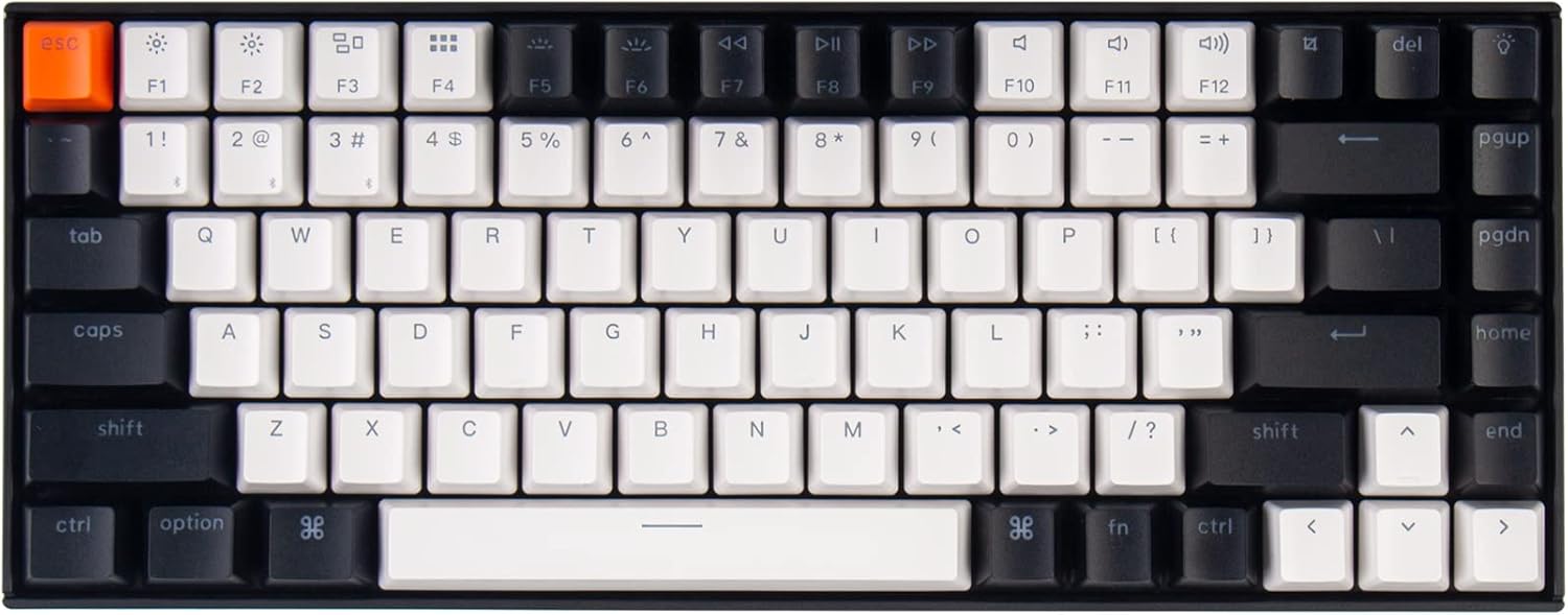 B0874F4QB2-image-0