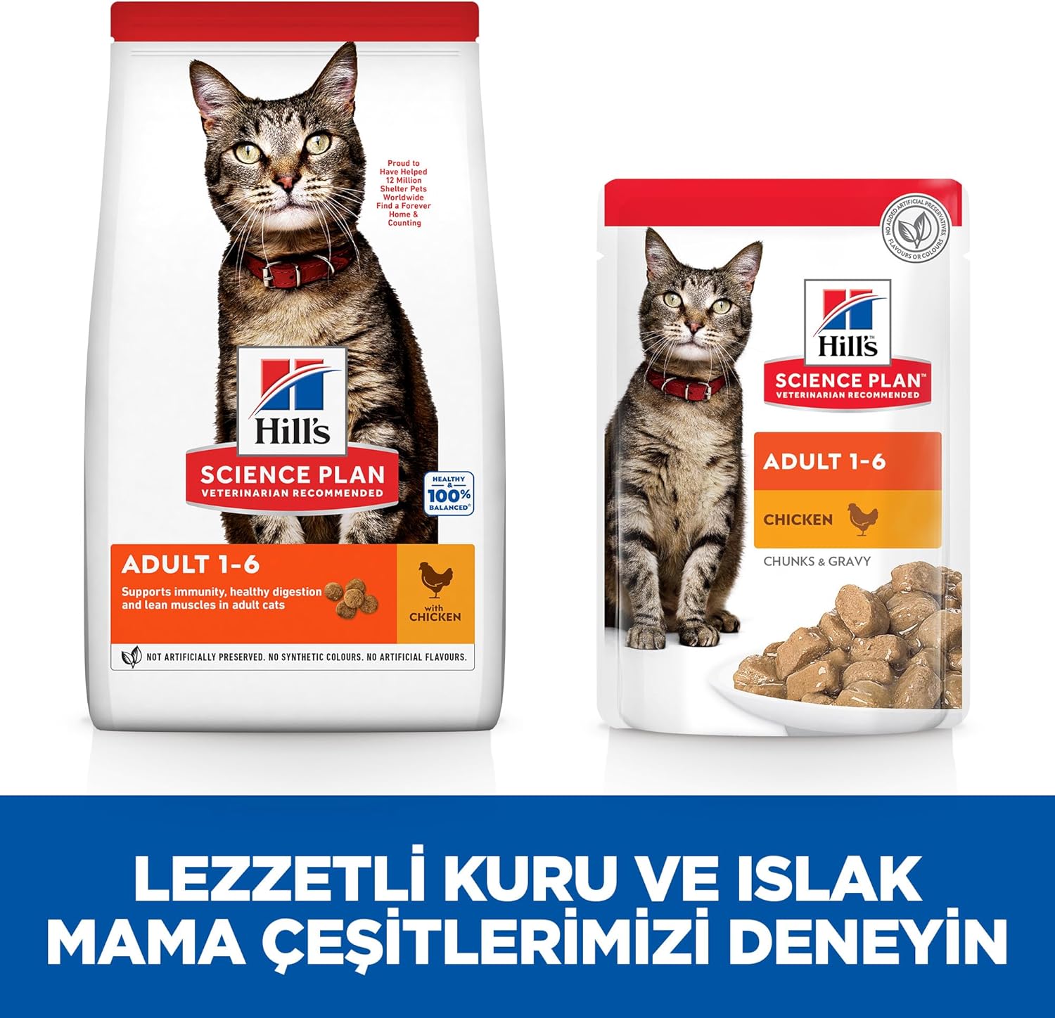 B087D6D1DZ-image-7