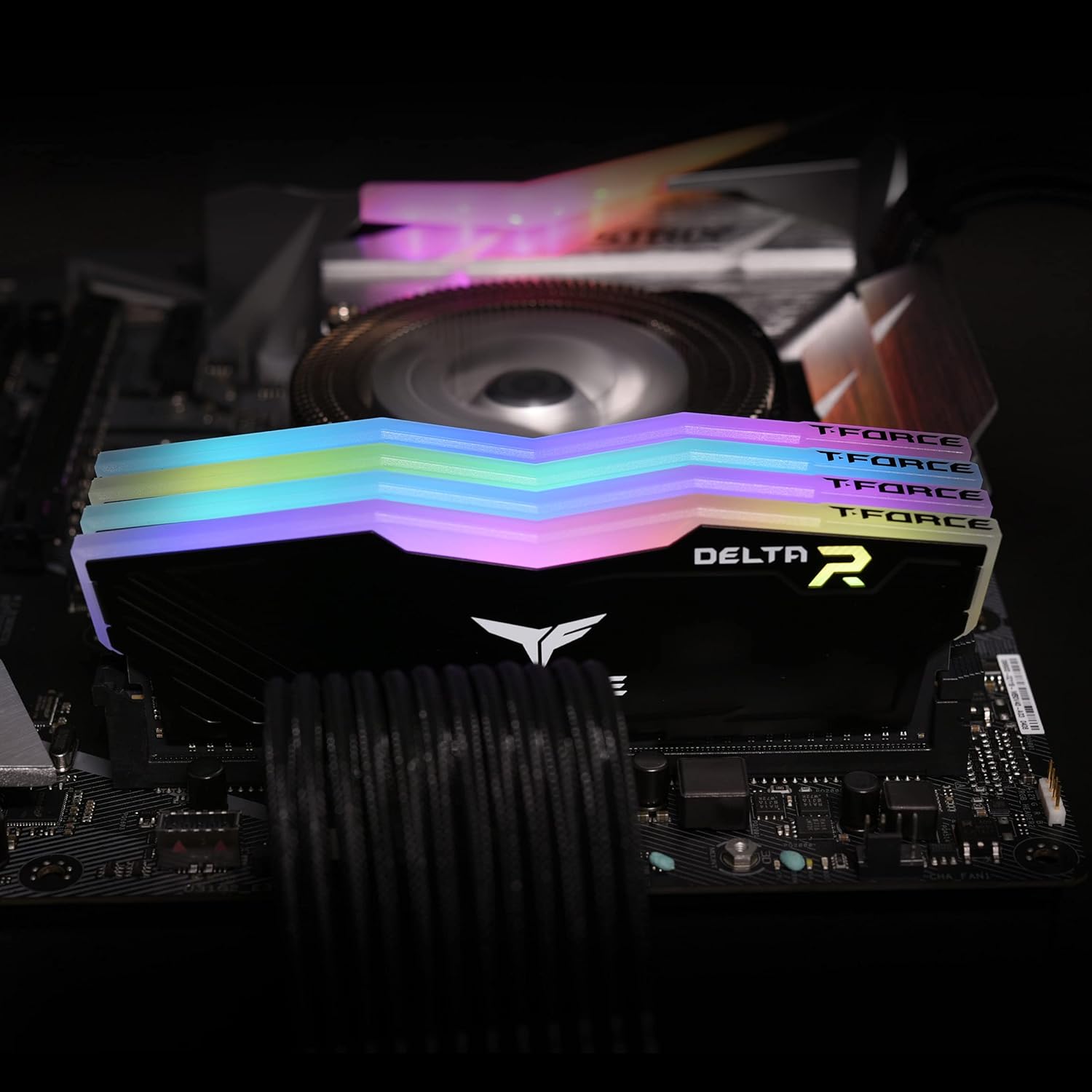 B08FBGJ4KG-image-3