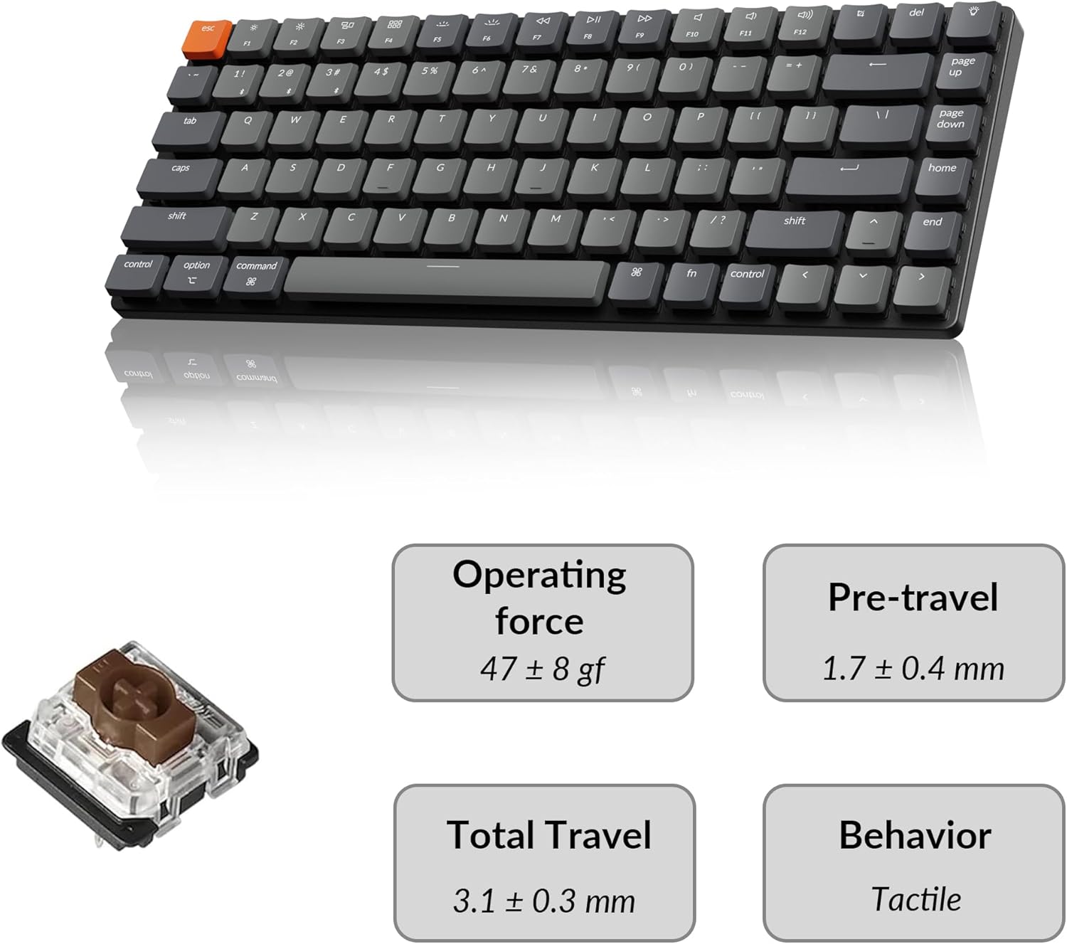 B08LSJ4RHH-image-5