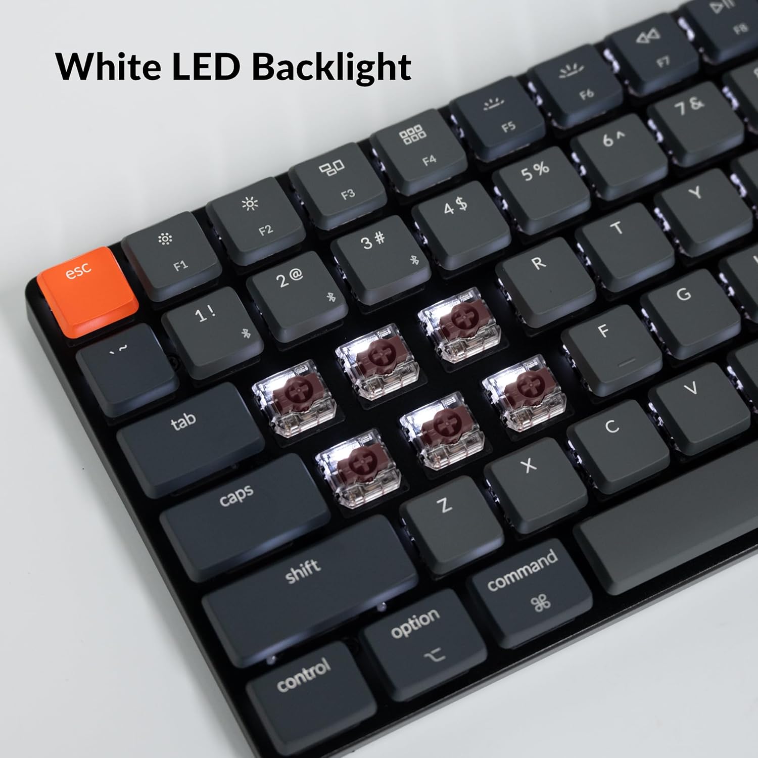 B08LSJ4RHH-image-7