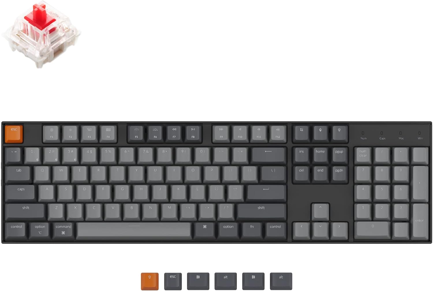 B08MLJMDNN-image-0