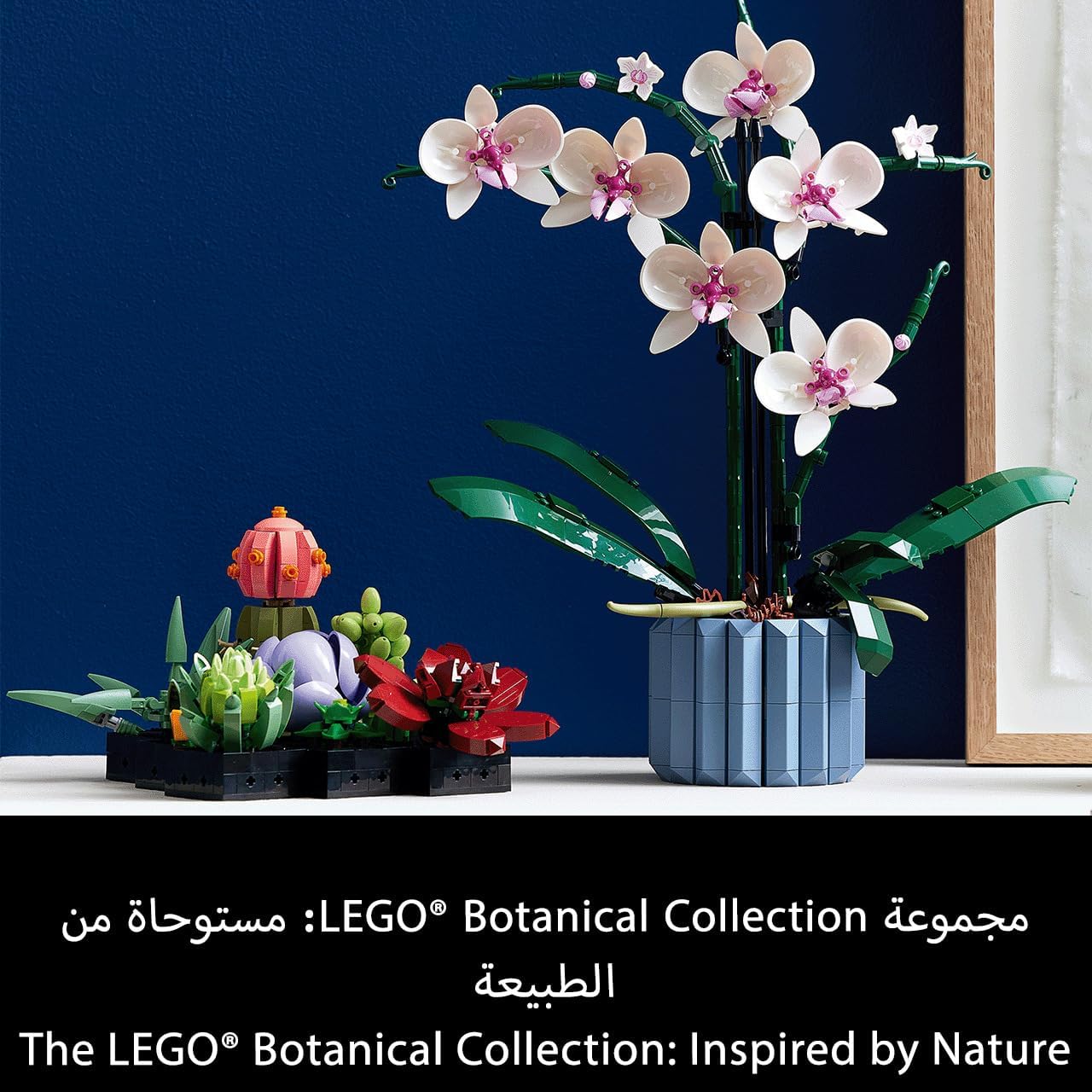B09BNV2Q49-image-7