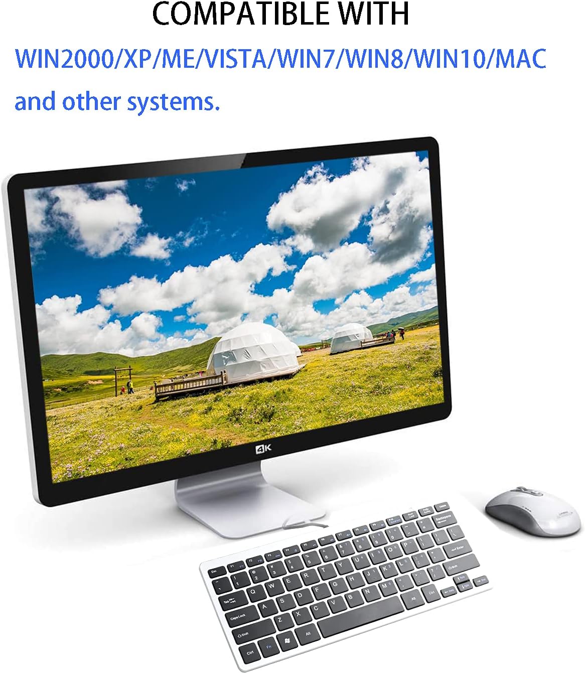 B09D3F9131-image-3