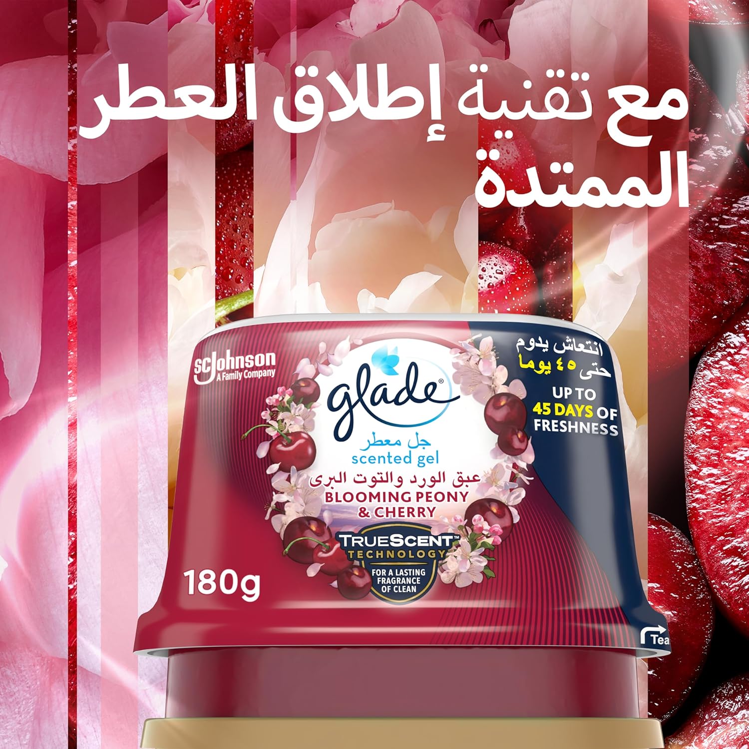 B09V86RG28-image-6