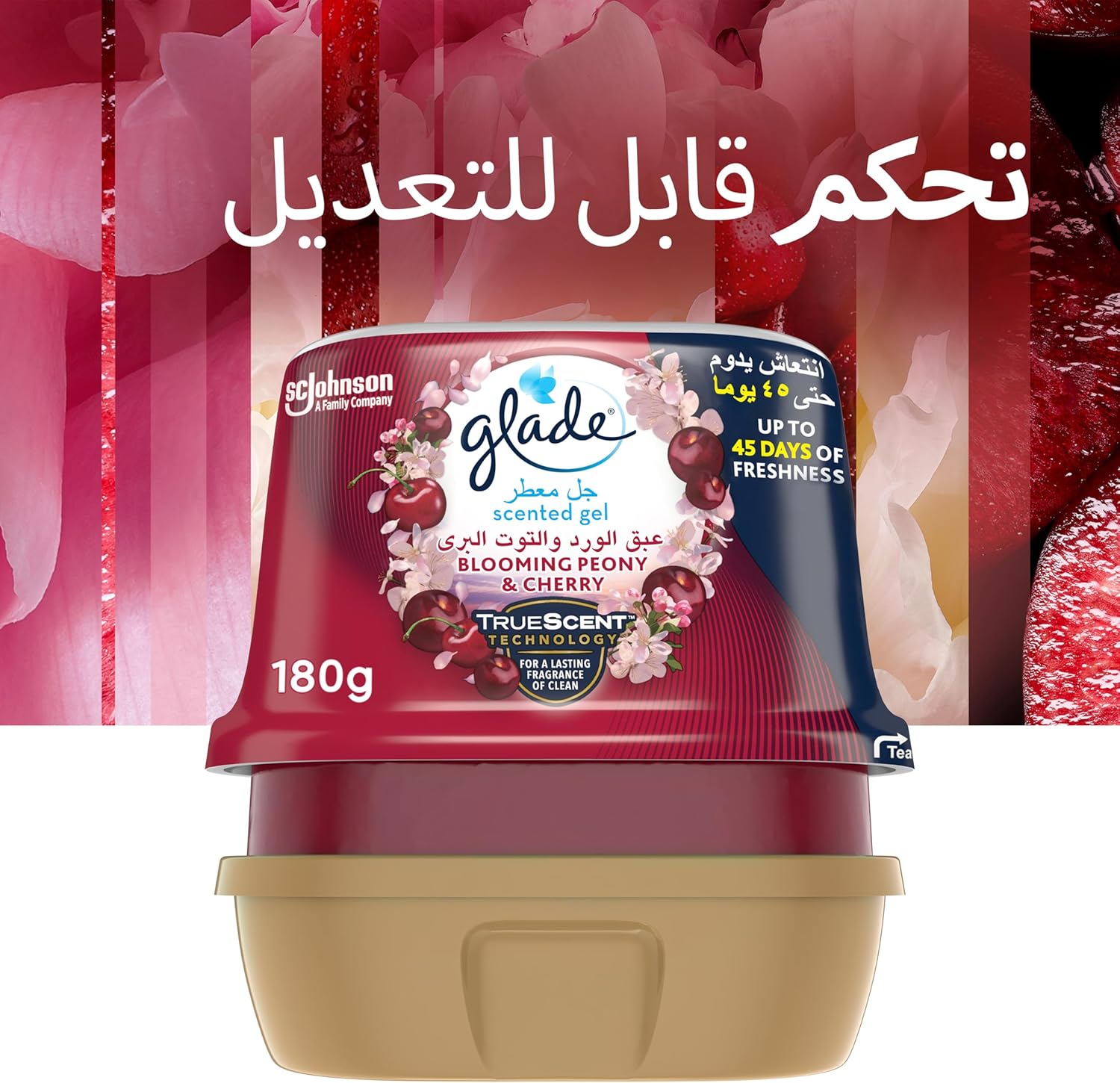 B09V86RG28-image-7