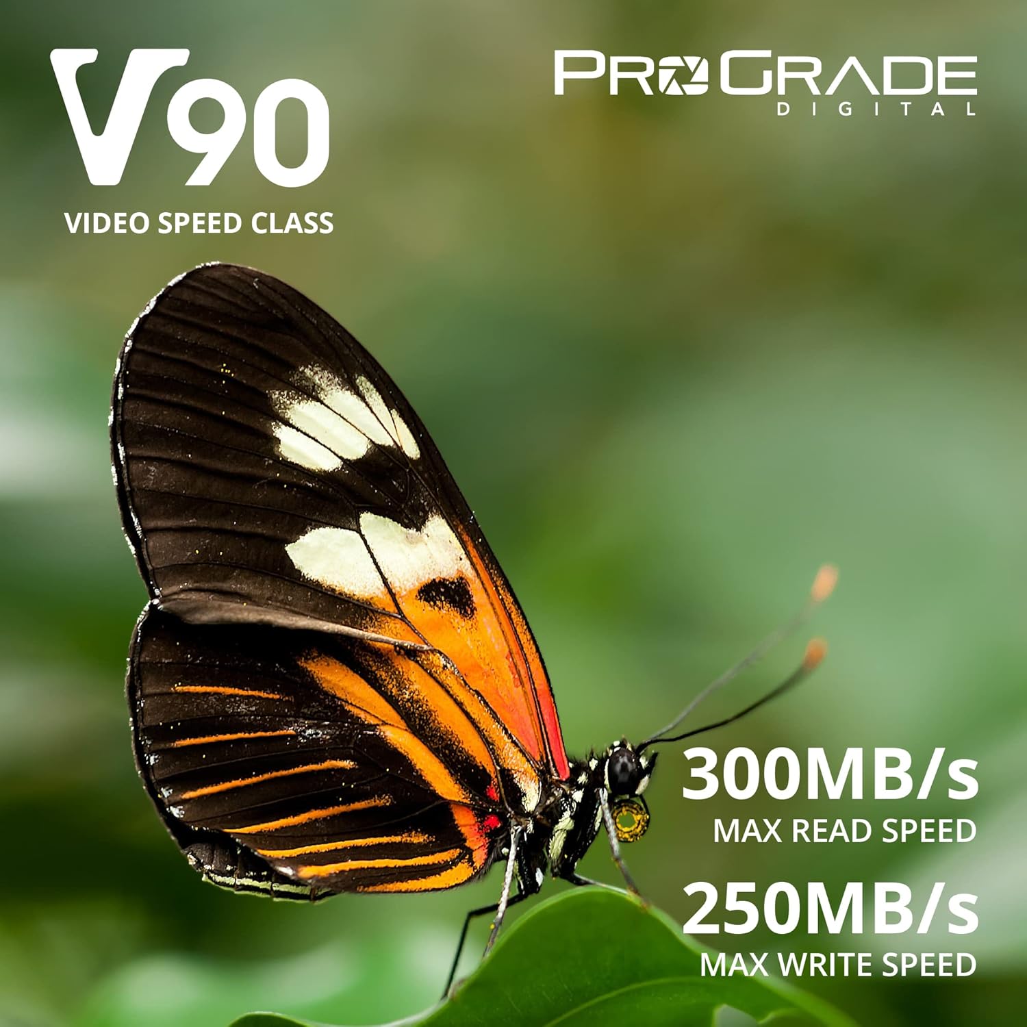 B09YLJFXWV-image-1