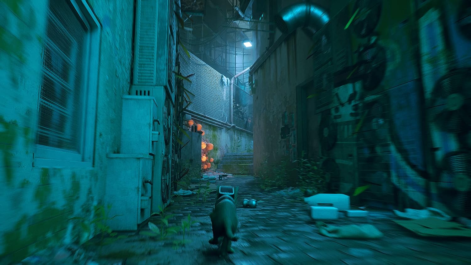 B0B63M9DLC-image-5