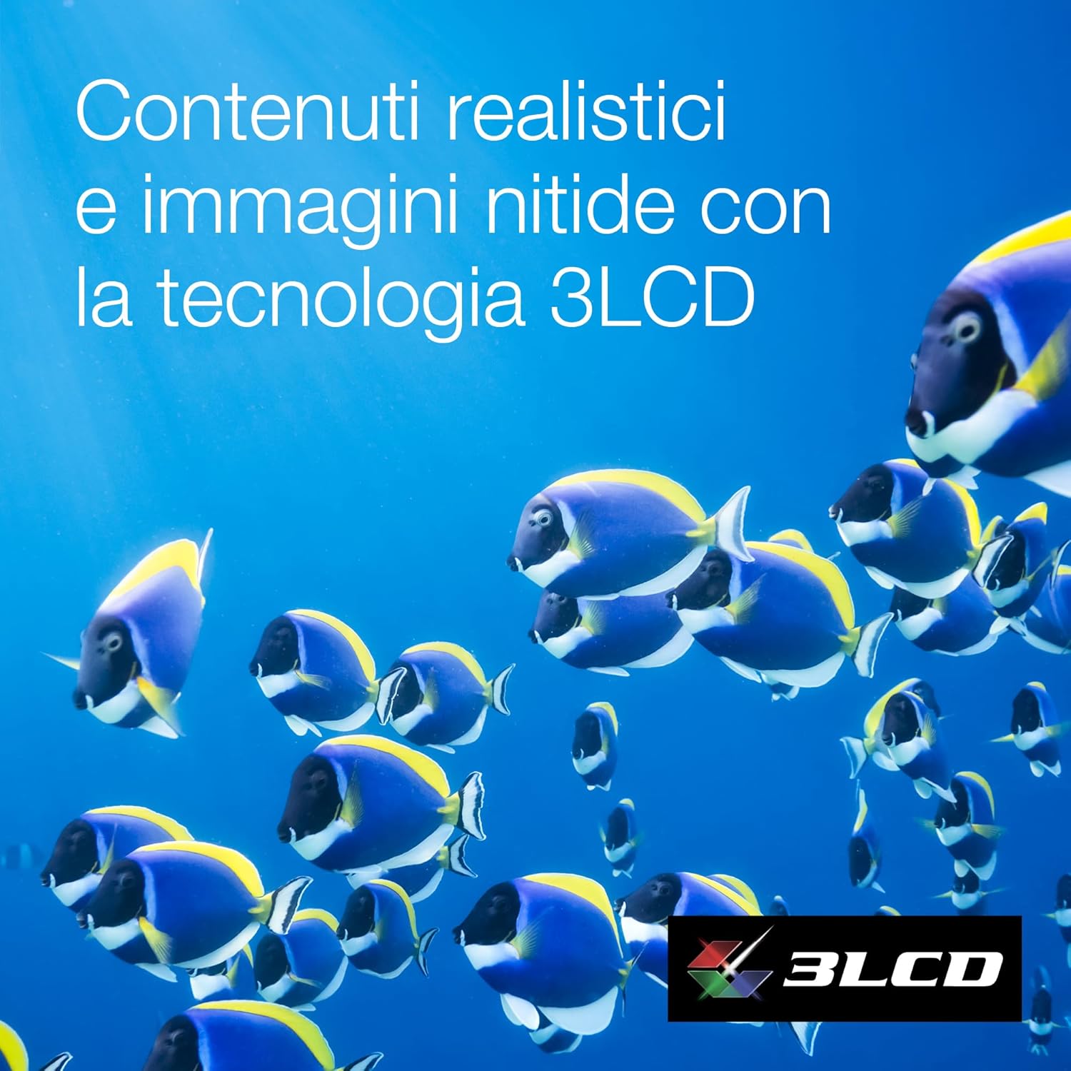 B0B985SFVD-image-7