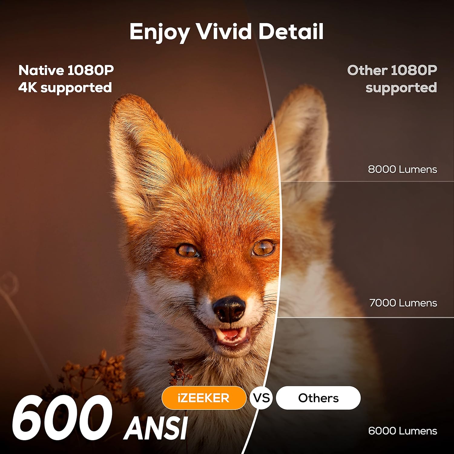 B0BT949QLG-image-3