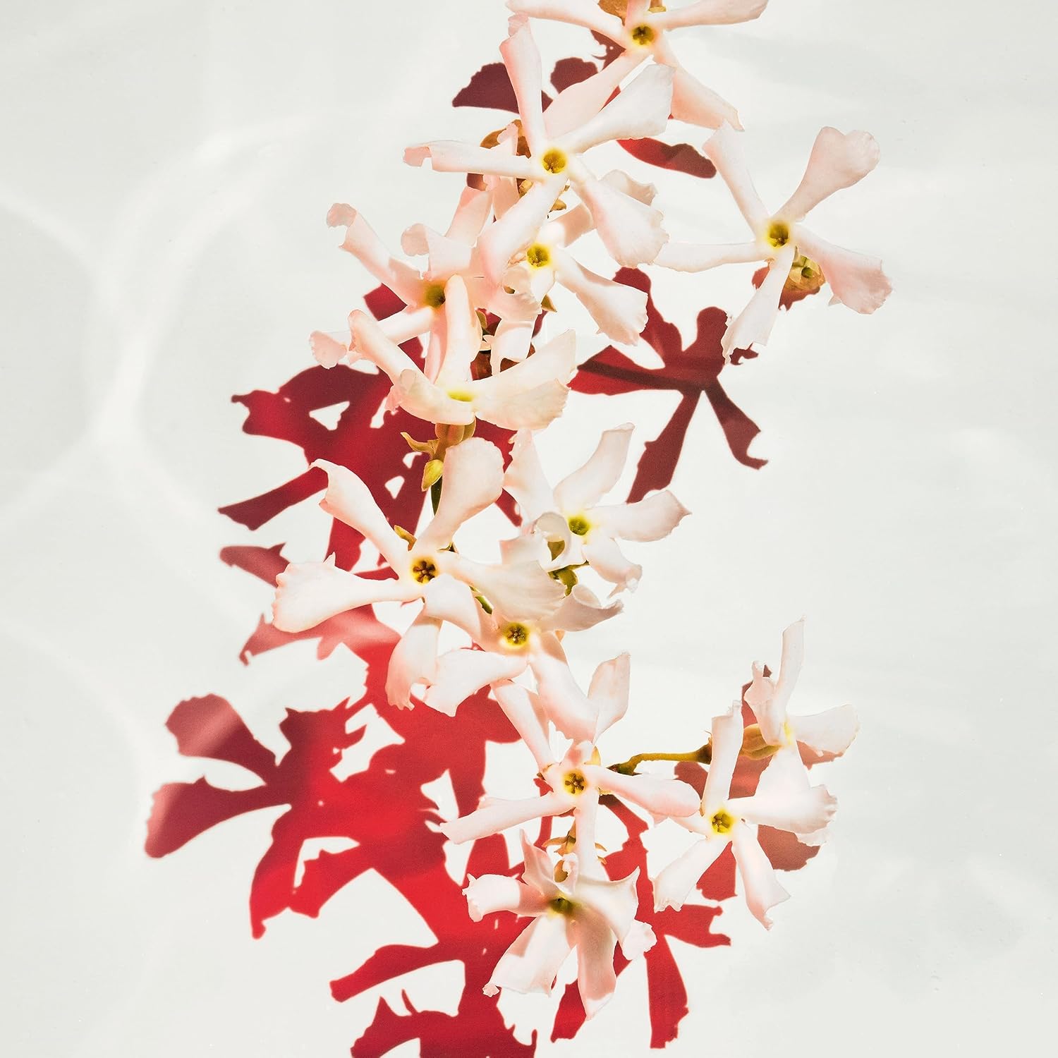 B0BWS12F23-image-5