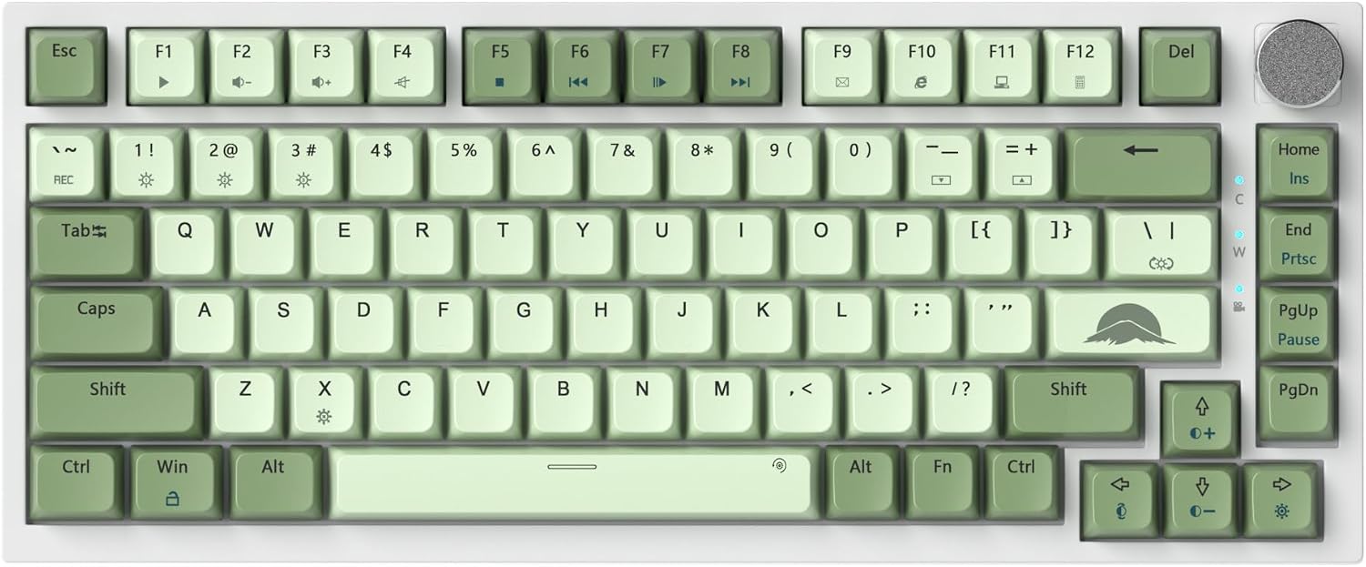 B0C9Q5HYYC-image-0