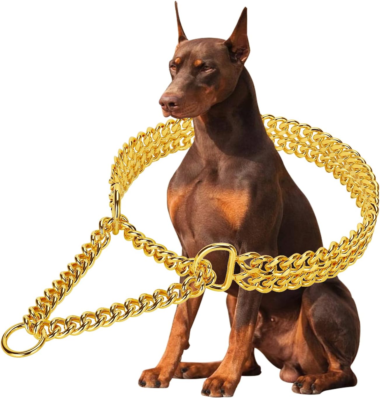 B0CL5ZYHP2-image-0