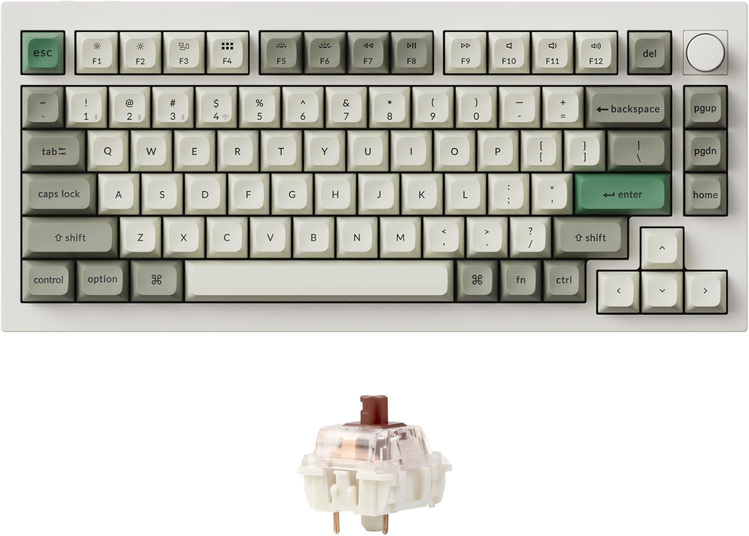 B0CR1J2B7B-image-0