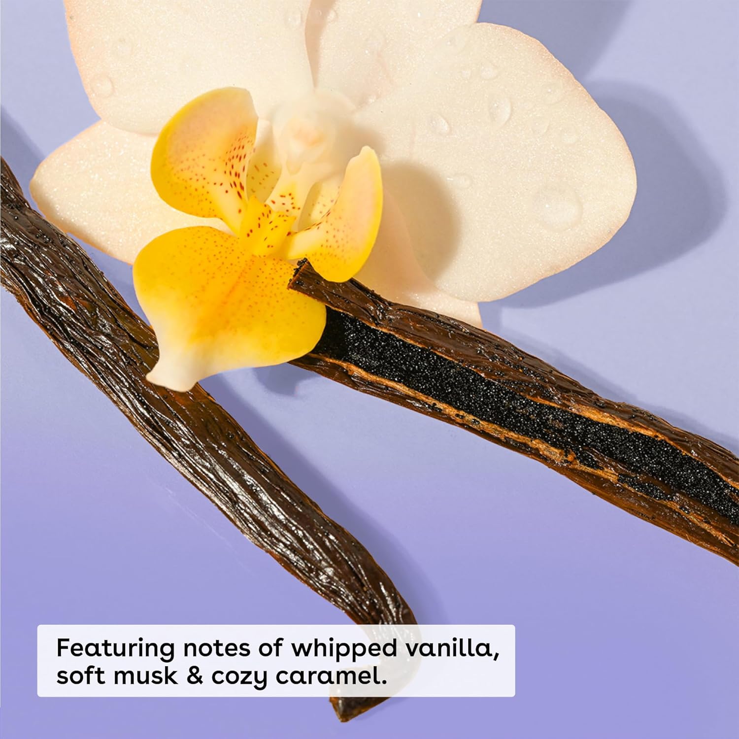 B0CSTCYSF7-image-1